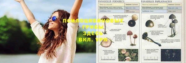 дурь Нефтекумск
